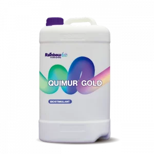 Quimur Gold Aminoácidos